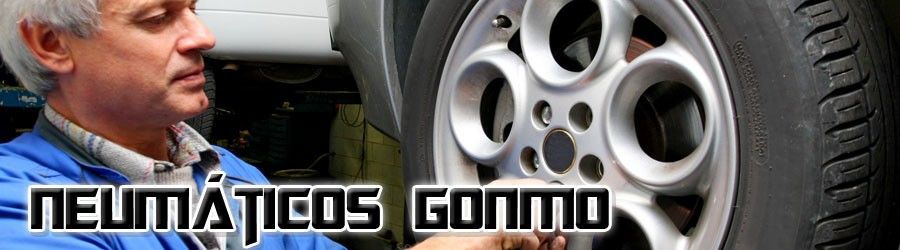 Neumáticos Gonmo banner